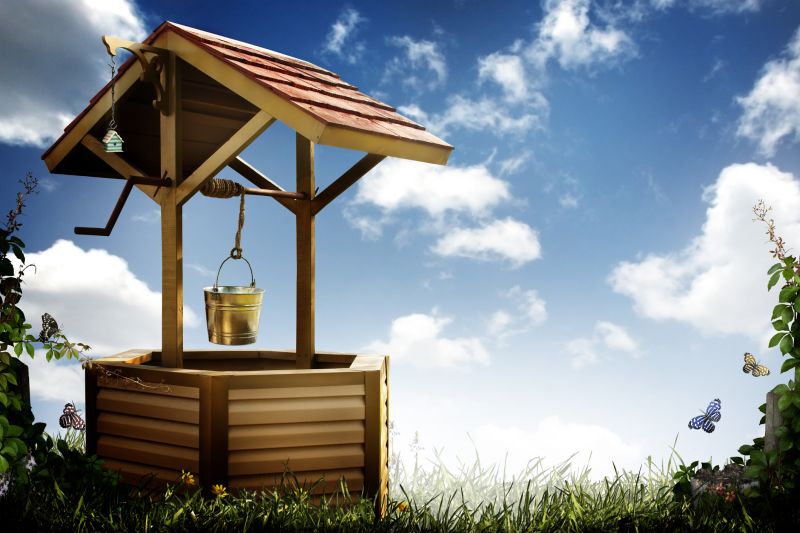 Who Does Well Service